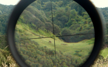 Vadászaton ért halálos lövés egy férfit Dévaványa külterületén